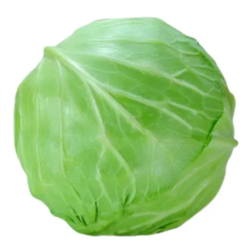 Cabbage