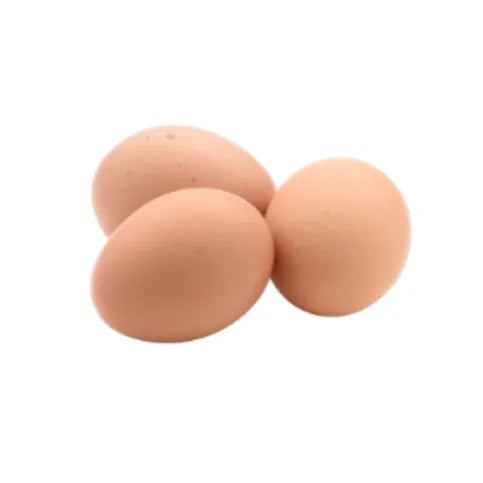 Medium Fresh Eggs 15 Pack