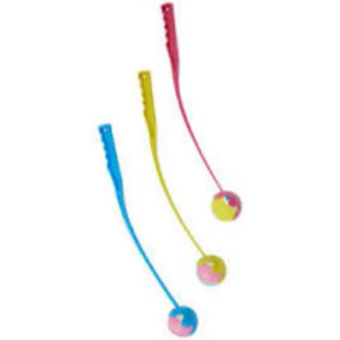 Ball Launcher With Ball