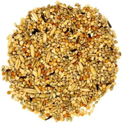 Budgie Seed