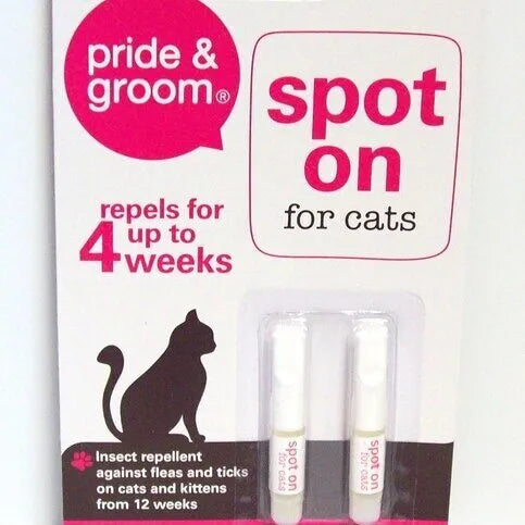 Pride And Groom Spot On For Cats