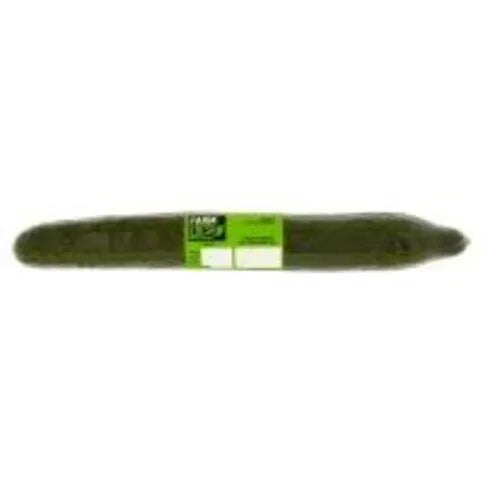 Farm Fresh Cucumber